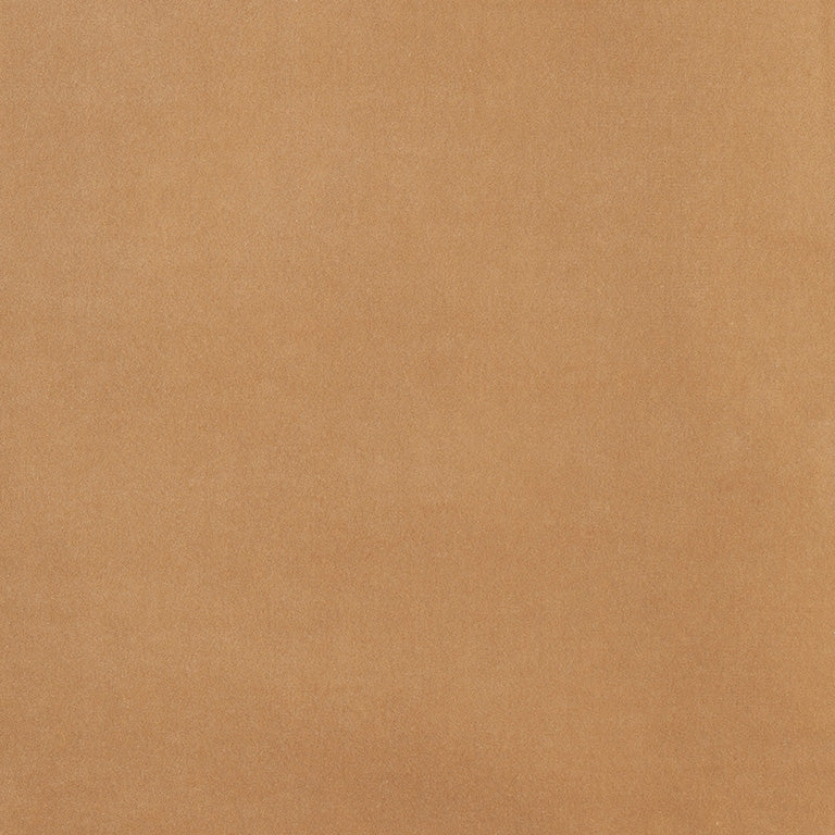 Media_00