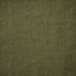 Bracken - Fern