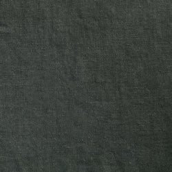 Chukka - Iguana
