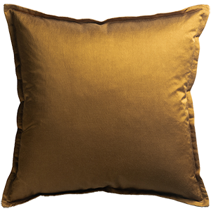 Gold-coloured cushion
