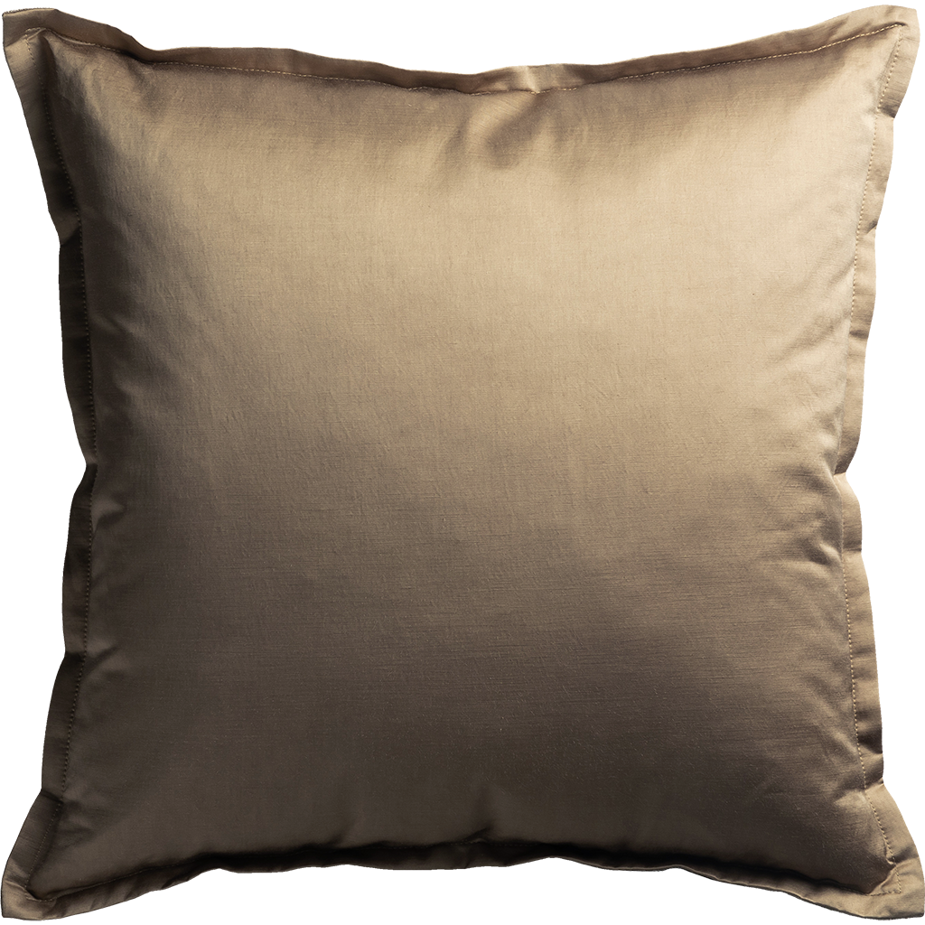 Old Hollywood cushion