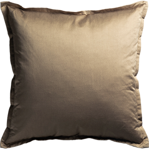 old hollywood cushion