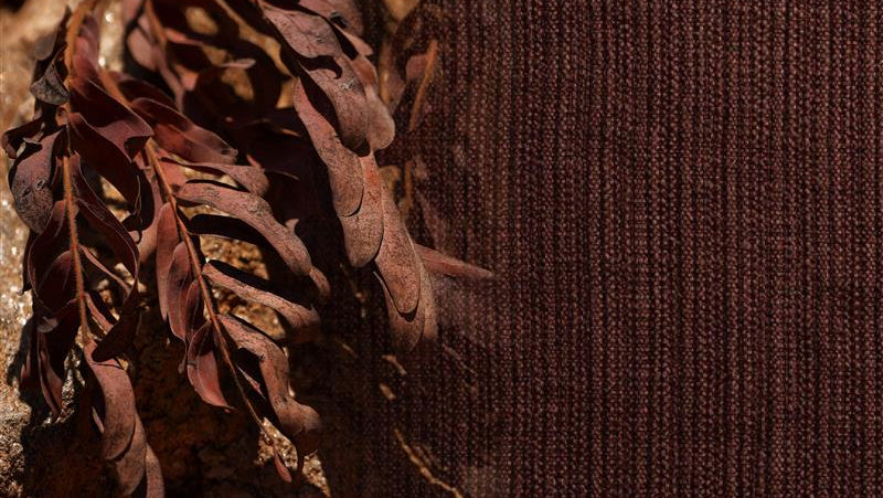 Close-up of dried leaves against a textured brown background